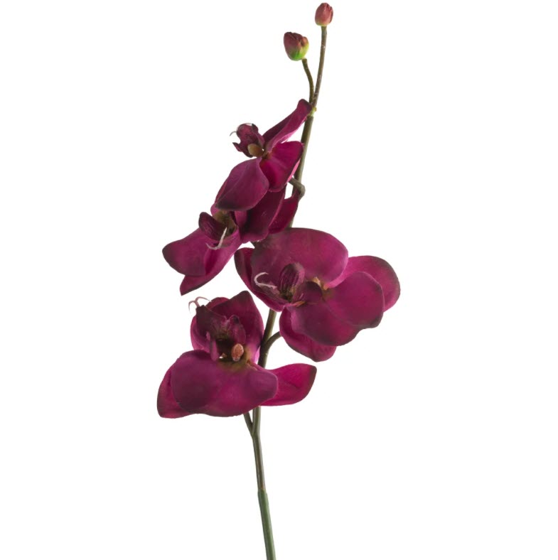 Purple Orchid Spray