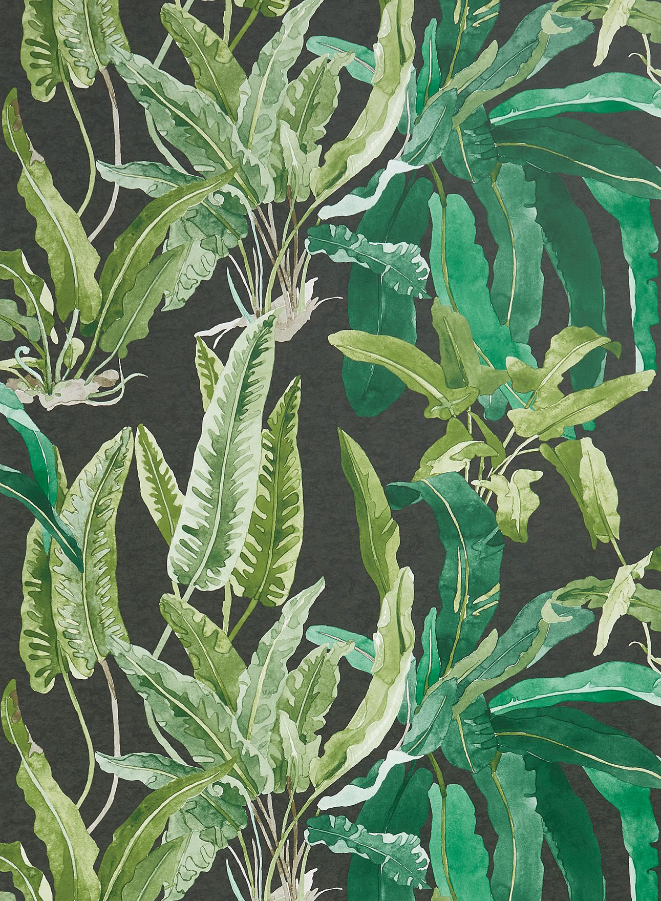 Nina Campbell Benmore Wallcovering in Green and Black 